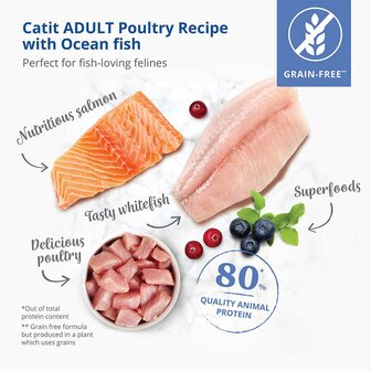 Catit Recipes Adult Fish 400g