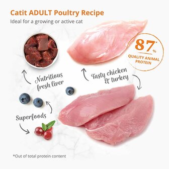 Catit Recipes Adult Poultry 400g