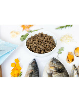 YDOLO Healthy &amp; Pure Wild Fish 10kg