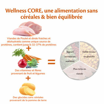 Wellness CORE Senior Original, kalkoen met kip - 10 KG