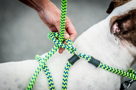 Harness Lead Blue anti trek / anti ontsnap systeem