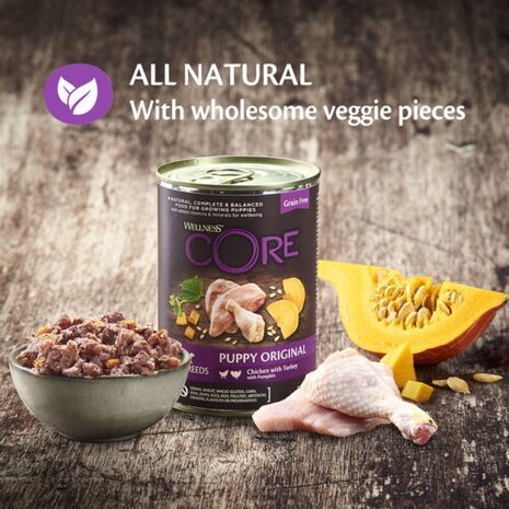 Wellness CORE Puppy Original, kip met kalkoen met pompoen - 400g